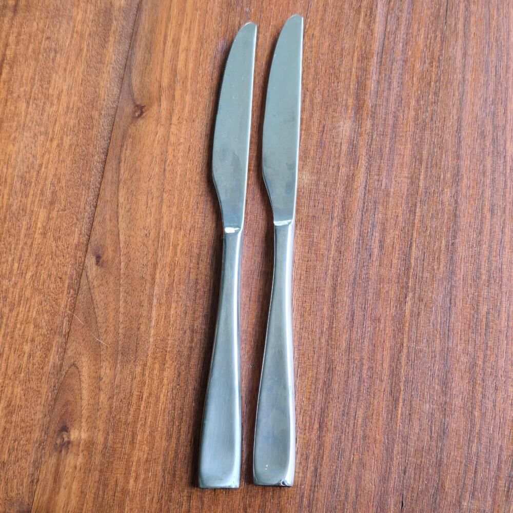 Oneida Moda Butter Knives Set of 2 Satin Stainless Steel Contemporary Modern